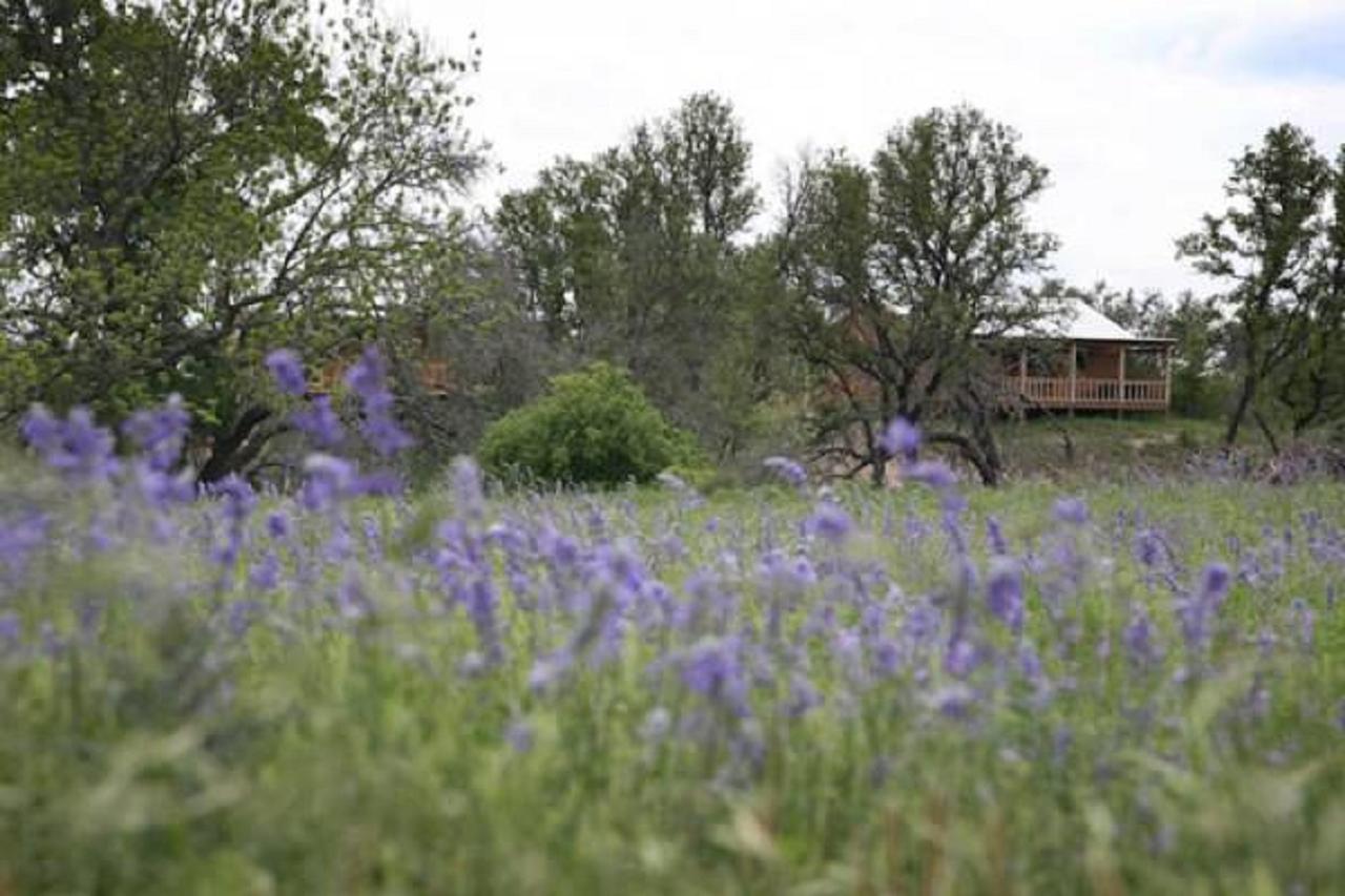 פרדריקסברג City On A Hill At Spring Creek מראה חיצוני תמונה