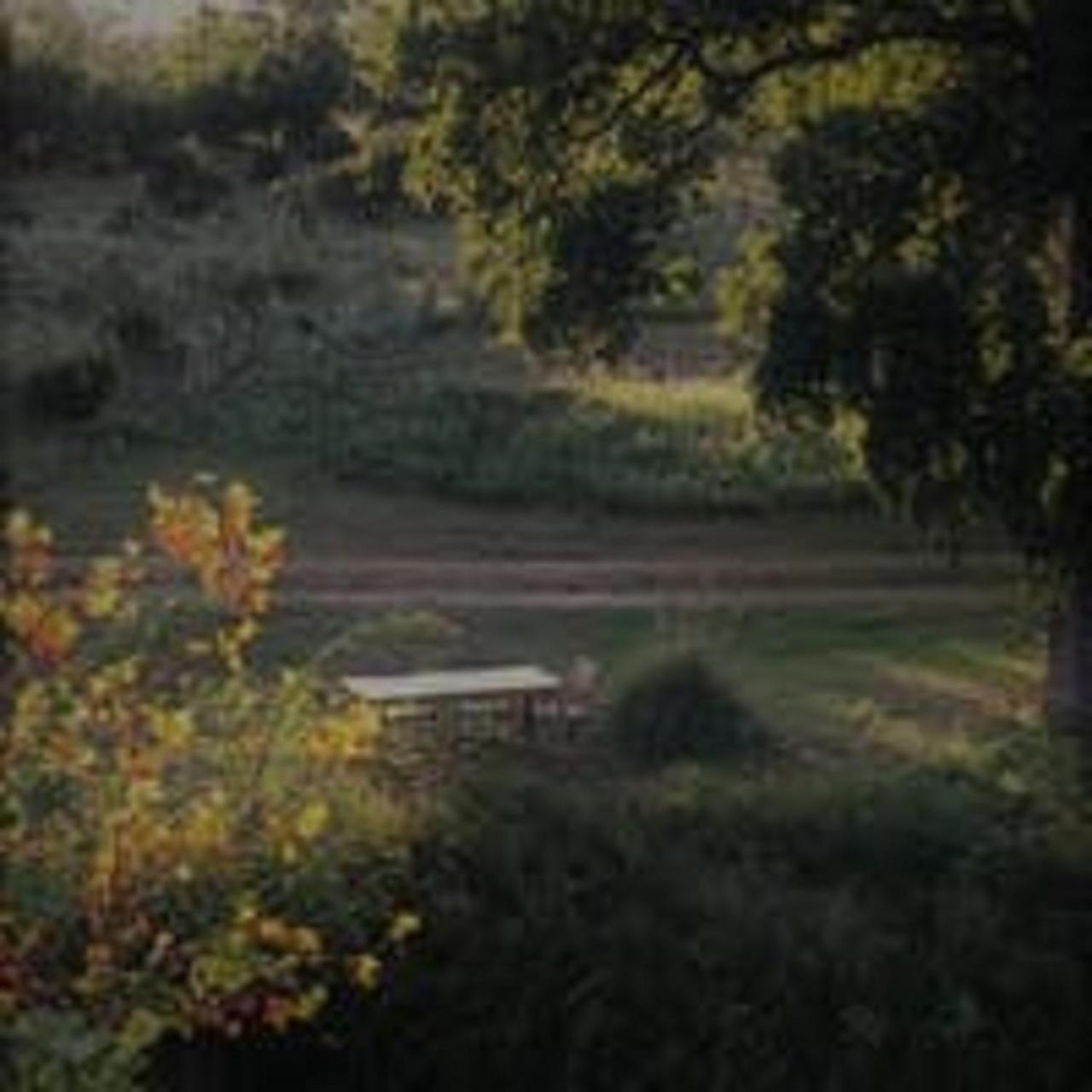 פרדריקסברג City On A Hill At Spring Creek מראה חיצוני תמונה