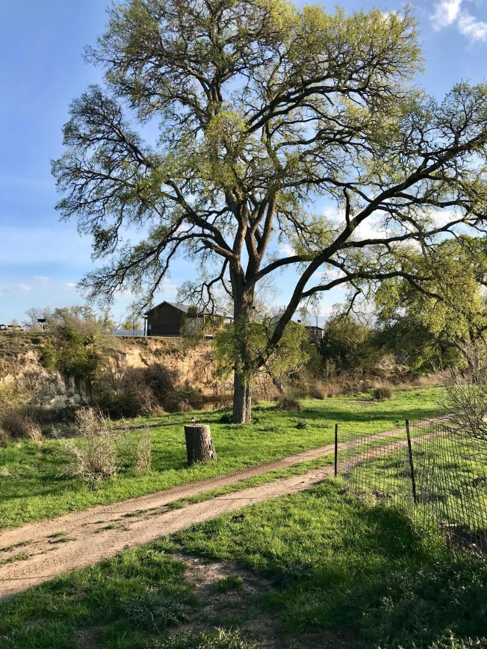 פרדריקסברג City On A Hill At Spring Creek מראה חיצוני תמונה